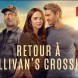 La s�rie disponible sur Netflix